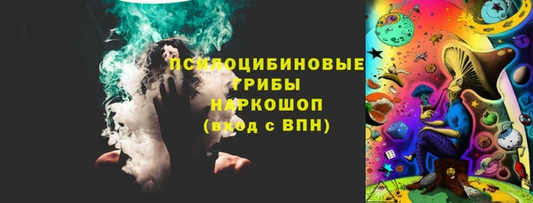 дживик Абаза