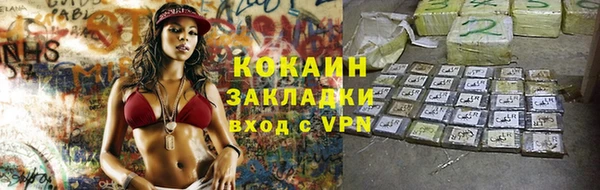 дживик Абаза