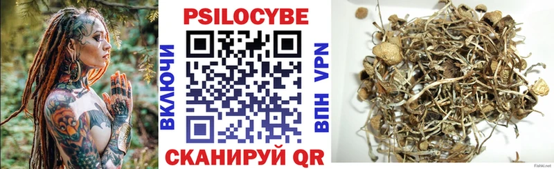 цена   Благовещенск  Галлюциногенные грибы мицелий 